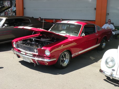 mustang2